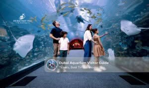 Visitors exploring Dubai Aquarium with marine life, underwater tunnels, and exhibits